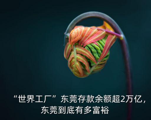 “世界工廠”東莞存款余額超2萬億，東莞到底有多富裕