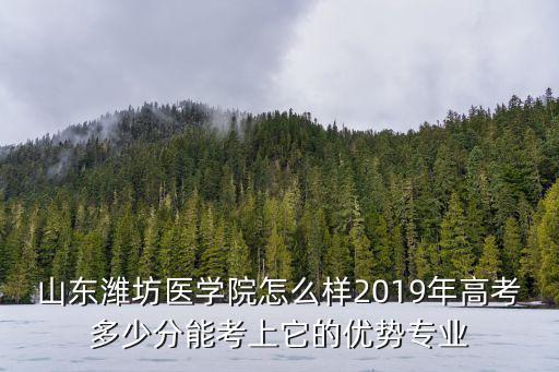 山東濰坊醫(yī)學(xué)院怎么樣2019年高考多少分能考上它的優(yōu)勢專業(yè)