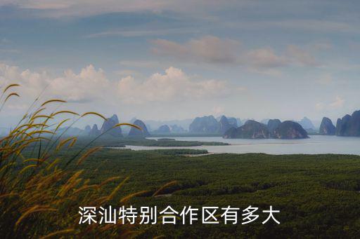 深汕特別合作區有多大