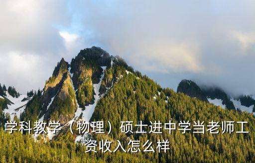 學科教學（物理）碩士進中學當老師工資收入怎么樣