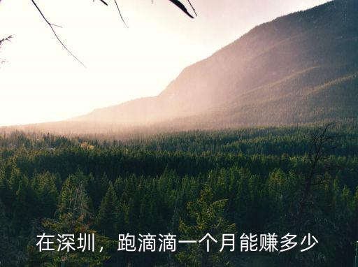 深圳開滴滴能賺多少錢一個月,月收入能有多少
