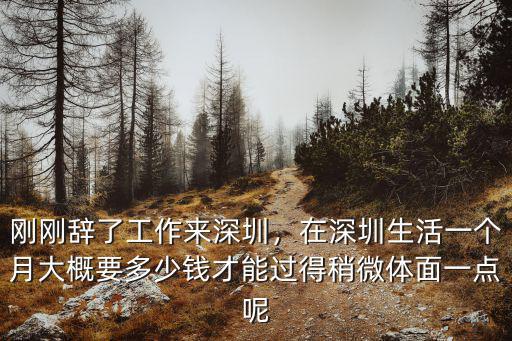 深圳一個月得花多少錢,正常一個月的消費水平是多少