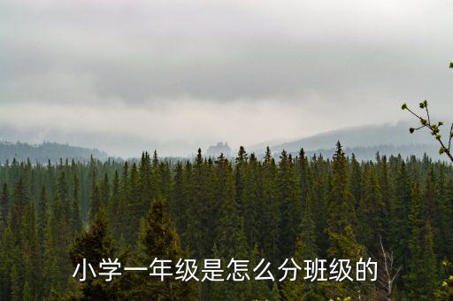 深圳欣欣小學(xué)一年級有多少個班級,孩子小學(xué)一年級