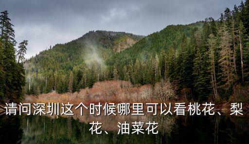 深圳哪里桃花比較多,深圳現(xiàn)在哪個(gè)地方能賞桃花