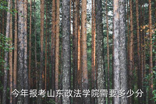 山東政法學院在報考指南多少頁,2019年高考多少分能上