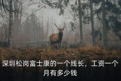 深圳松崗富士康的一個線長，工資一個月有多少錢