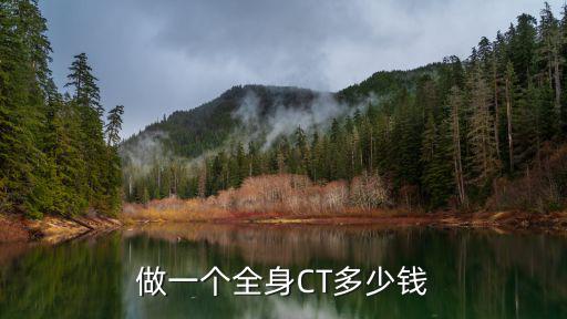 做一個(gè)全身CT多少錢