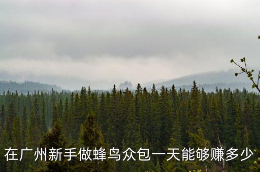 在廣州新手做蜂鳥(niǎo)眾包一天能夠賺多少