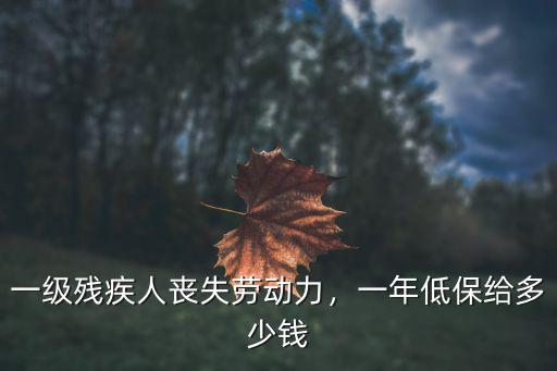 日照一級殘疾人政府補貼多少錢,一年低保給多少錢