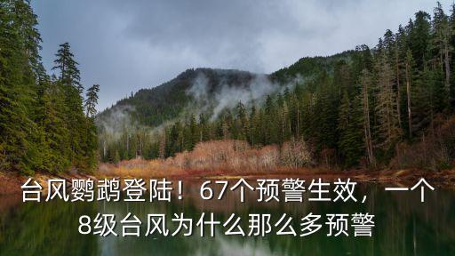臺風鸚鵡陽江登陸多少級,臺風鸚鵡登陸廣東陽江