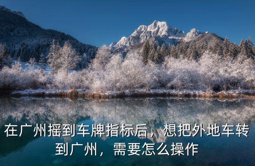 廣州車牌搖號怎么消除,在廣州搖到車牌指標后