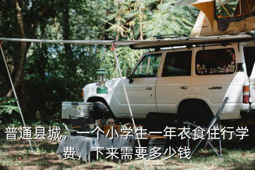 威海小學生一年多少錢,一個小學生一年衣食住行學費