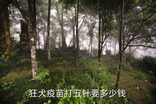青島疾控中心打狂犬疫苗多少錢,打狂犬疫苗一共多少錢