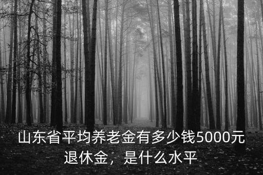山東省正科級退休金是多少錢,5000元退休金