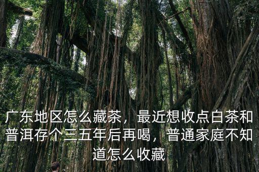 佛山普洱茶怎么保存,廣東地區怎么藏茶