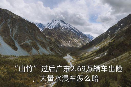山竹過(guò)后廣州泡了多少車(chē),臺(tái)風(fēng)山竹過(guò)后