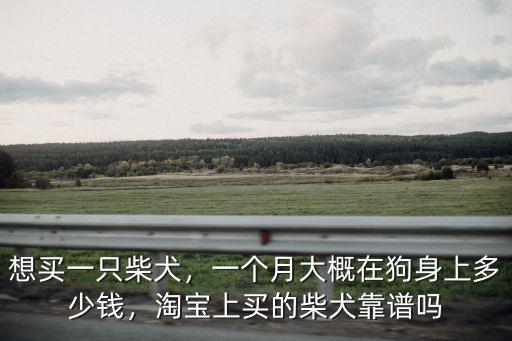 杭州柴犬多少一只,想養(yǎng)一只柴犬