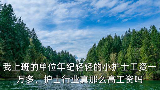 浙江省護士工資加獎金大概多少,護士行業真那么高工資嗎