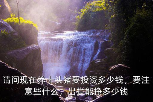請問現在養十頭豬要投資多少錢，要注意些什么，出欄能掙多少錢