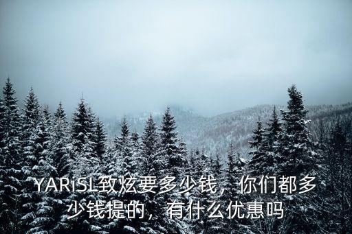 清遠(yuǎn)致炫優(yōu)惠多少錢,YARiSL致炫要多少錢