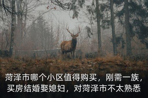 菏澤市哪個小區值得購買，剛需一族，買房結婚娶媳婦，對菏澤市不太熟悉