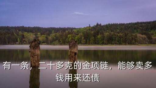 有一條，二十多克的金項(xiàng)鏈，能夠賣多錢用來還債