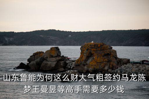 山東魯能大魚(yú)有多少錢,山東魯能為何這么財(cái)大氣粗