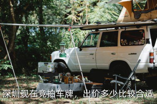 深圳第六期競價多少錢,深圳車牌過戶值多少錢