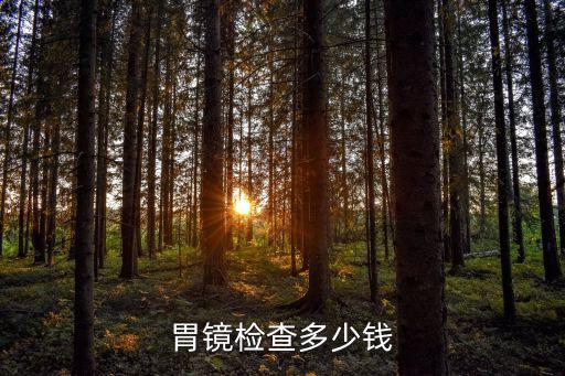 胃鏡檢查多少錢