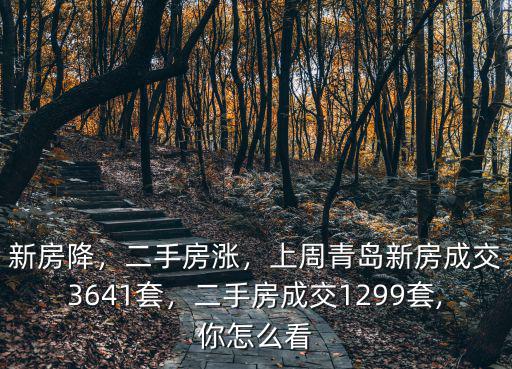 新房降，二手房漲，上周青島新房成交3641套，二手房成交1299套,你怎么看