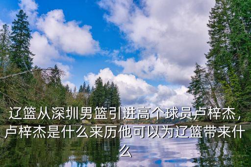 盧梓杰深圳哪里人,盧梓杰是什么來歷