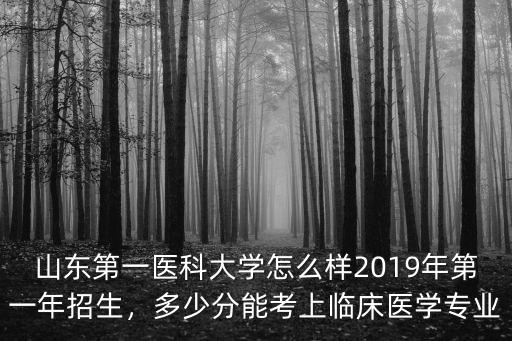 山東第一醫(yī)科大學(xué)怎么樣2019年第一年招生，多少分能考上臨床醫(yī)學(xué)專業(yè)