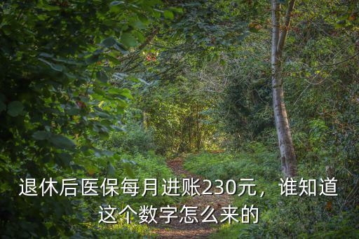 退休后醫保每月進賬230元，誰知道這個數字怎么來的