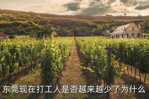 越南東莞加工廠現在怎么樣了,搬到越南的工廠