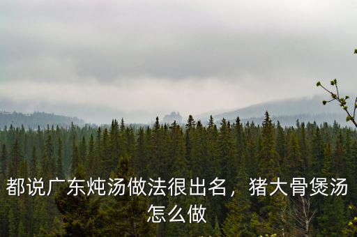 都說廣東燉湯做法很出名，豬大骨煲湯怎么做
