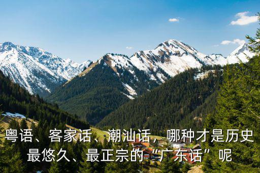 哪里的潮州話最正宗,漳州哪里的閩南話最正宗