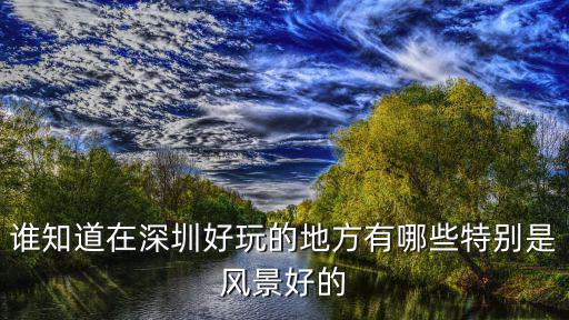 誰知道在深圳好玩的地方有哪些特別是風景好的