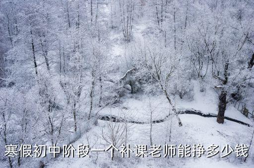 大青島辦補課班一個月能掙多少錢,辦輔導班能賺多少錢