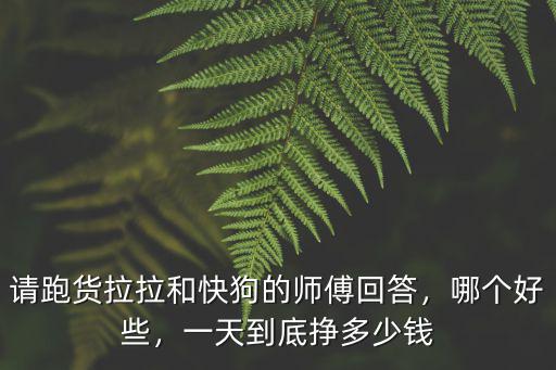 請(qǐng)跑貨拉拉和快狗的師傅回答，哪個(gè)好些，一天到底掙多少錢(qián)