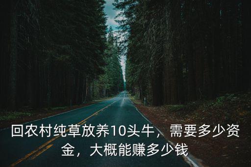 山東改良黃牛十頭多少錢,養十頭牛一年能掙多少錢