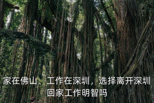 深圳佛山打工怎么樣,佛山這幾年的就業(yè)前景怎么樣