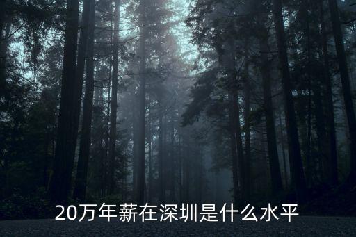 20萬年薪在深圳是什么水平