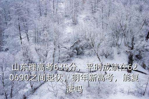 山東新高考化學模擬多少分,模擬考原始分619