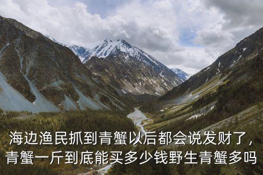 海邊漁民抓到青蟹以后都會說發財了，青蟹一斤到底能買多少錢野生青蟹多嗎