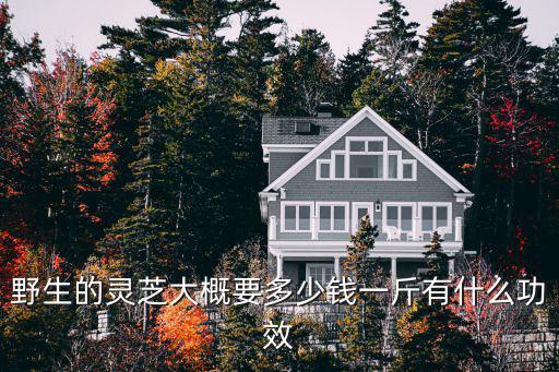 野生的靈芝大概要多少錢一斤有什么功效
