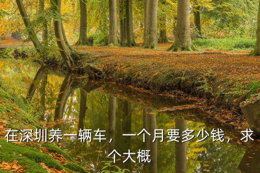 深圳車行網電話是多少錢一個月,一個月要多少錢