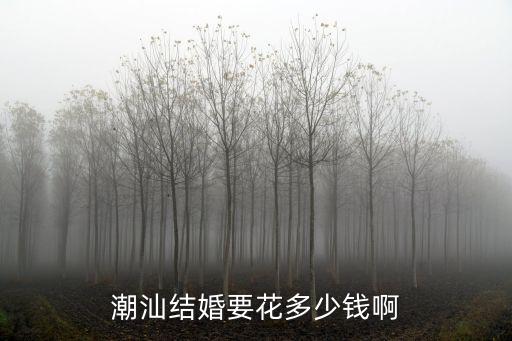 潮汕結婚要花多少錢啊