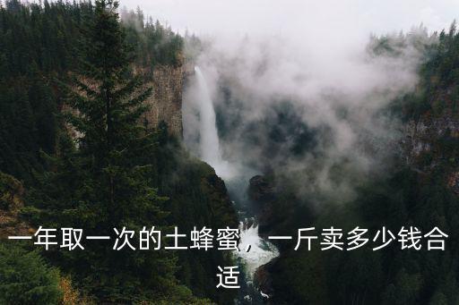 一年取一次的土蜂蜜，一斤賣多少錢合適