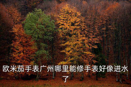 廣州哪里有頌拓手表維修,歐米茄手表廣州哪里能修
