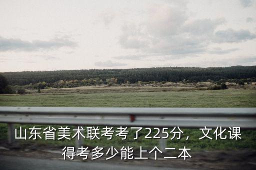 山東省美術(shù)類聯(lián)考及格線是多少,山東省美術(shù)聯(lián)考考了225分